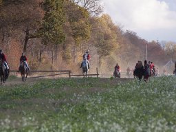 IMG_9781web